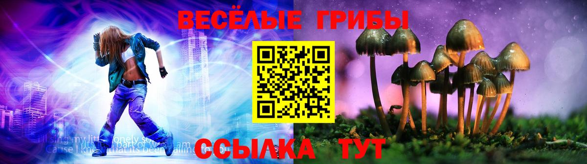 Псилоцибиновые грибы GOLDEN TEACHER  Псилоцибиновые грибы мицелий  Всеволожск  Вход с VPN 